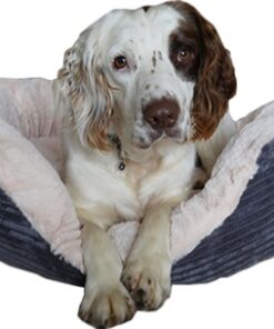 ROSEWOOD HONDENMAND OVAAL JUMBO CORD PLUCHE GRIJS / CREME