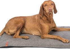 TRIXIE BE NORDIC HONDEN LIGMAT FÖHR DONKERGRIJS